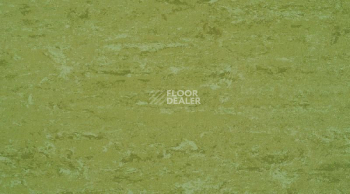 Линолеум Linodur Sport 1011 Avocado Green фото 1 | FLOORDEALER